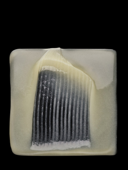 Shampoing restructurant instantane